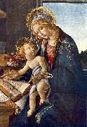 BOTTICELLI, Sandro Madonna with the Child (Madonna with the Book)  vg oil painting artist